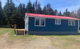 Wild Cove Cabin